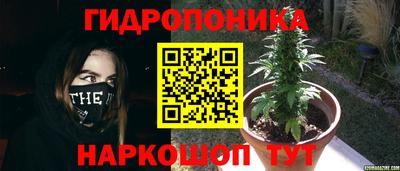 a pvp Мариинск