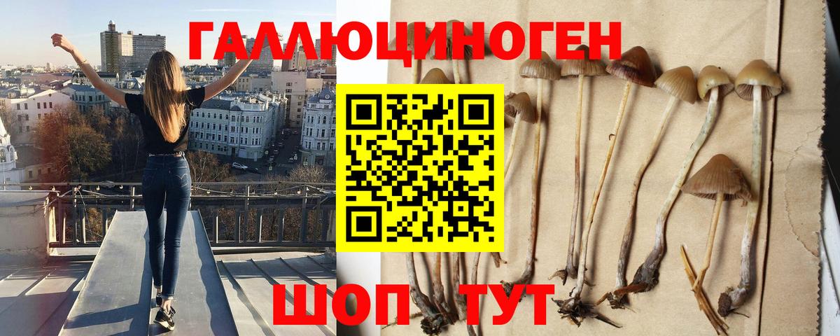 Ялта  Галлюциногенные грибы GOLDEN TEACHER  Вход с VPN 